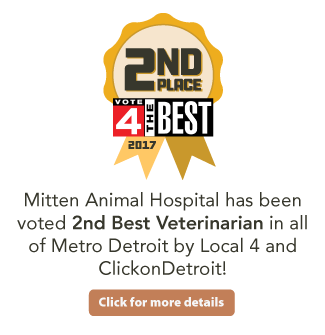 Mitten Animal Hospital
